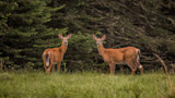 AdobeStock_311112438.jpeg