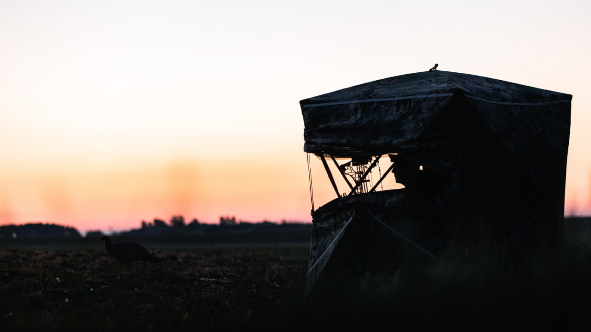 Turkey Hunting Can Make You a Better Whitetail Hunter