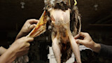 Wild turkey hung upside down being plucked by two people in a workshop