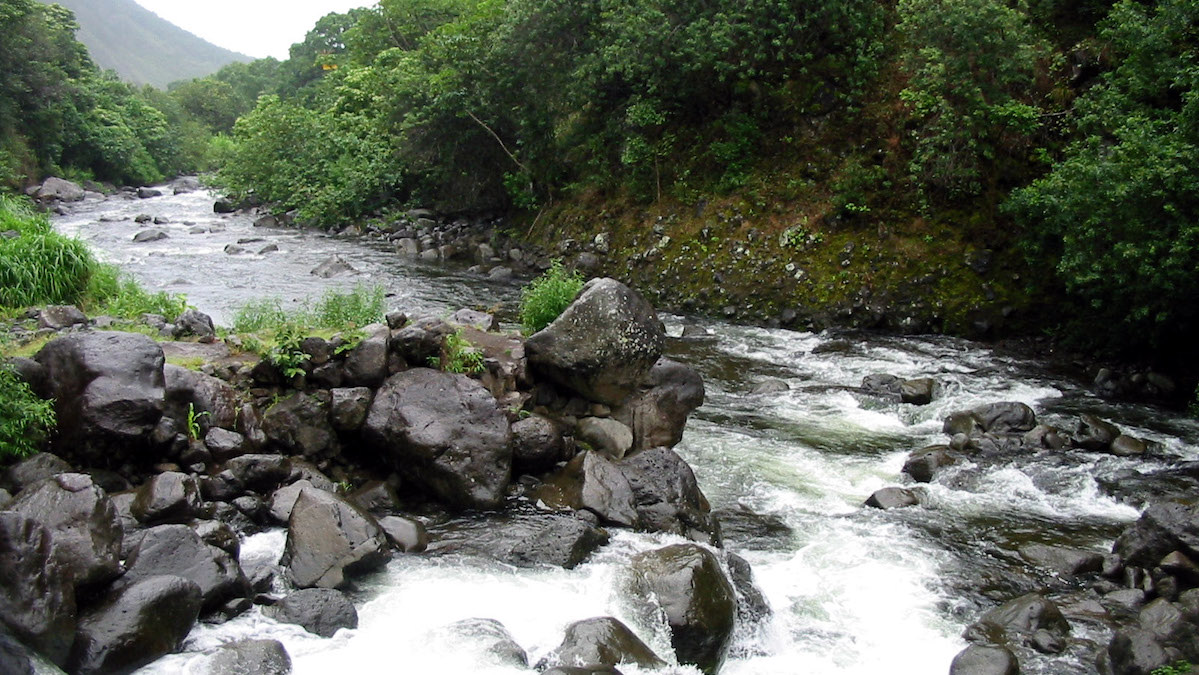 Hawaii Issues Record-Breaking Poaching Fine of $633,840