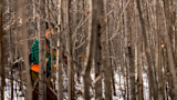 Hunter in orange vest carrying rifle through dense leafless woods with patchy snow