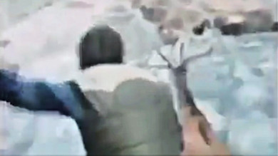 Jumping Out of Helicopters Onto Deer