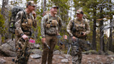 Three hunters in camouflage gear holding compound bows in a pine forest clearing