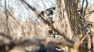 Partially obscured hunter in camouflage behind a tree holding a compound bow in dry brush