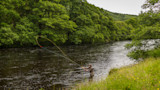Angler spey-casting in a river with green trees along the bank