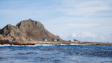 Rocky island shoreline with small white buildings and choppy ocean waves under blue sky