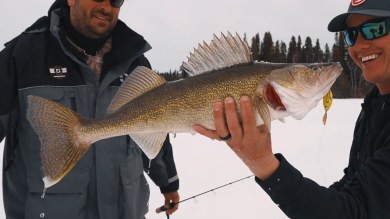 Ice Fishing for Shallow Water Walleye