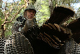 The Methods and Madness of Turkey Hunting