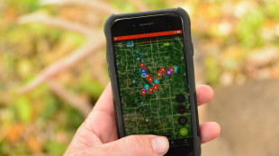 Lost Your Hunting Access? No Need to Panic