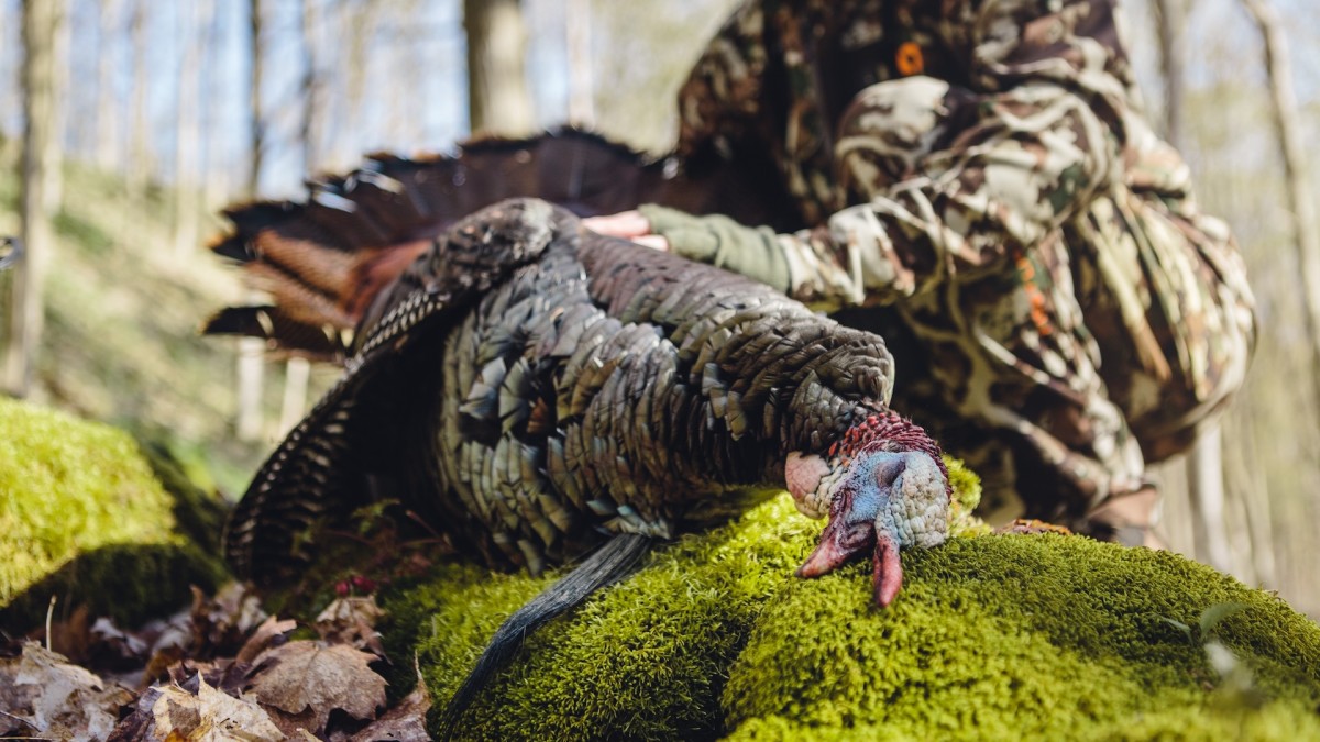 How to Kill Late-Season Turkeys