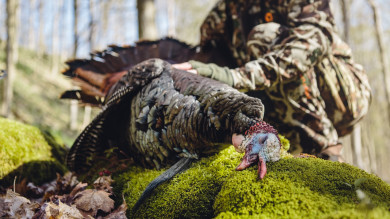 How to Kill Late-Season Turkeys