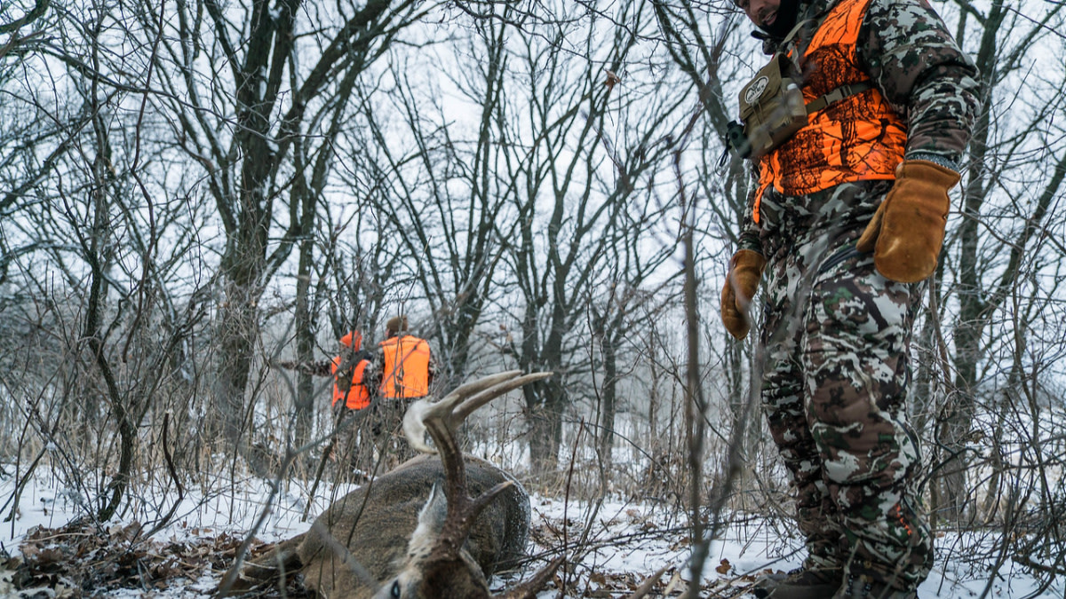 Is Pink the New Orange?