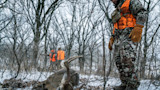 Buck with antlers lying in snowy woods, hunters in camouflage and blaze-orange vests nearby