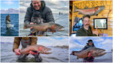 Six-photo collage of anglers holding large Pyramid Lake cutthroat trout