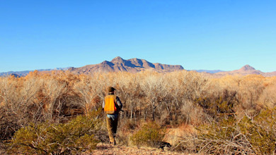 Hunter walking away through dry brush toward distant mountains, wearing orange vest and carrying shotgun