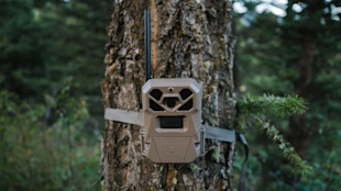 Wildlife trail camera with antenna and mounting strap