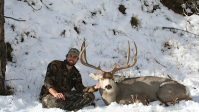 Large mule deer buck beside hunter seated in snow, hunter holding its antlers