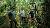 Three men stand in a leafy forest, looking up at tall trees.