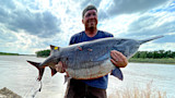 Photos: Montanan Breaks Bowfishing World Record for Paddlefish