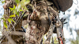 Hunter on tree wearing camouflage gear with metal climbing sticks strapped to harness