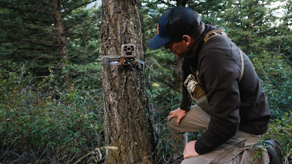 Why Trail Cameras Don’t Always Tell the Truth