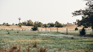 Windmill on hill in rural pasture with fence line and scattered trees