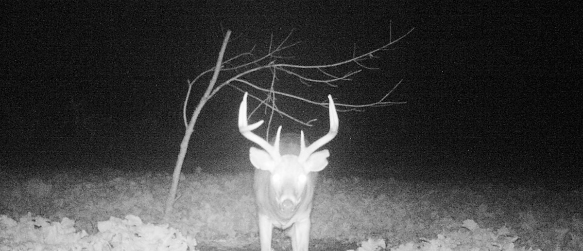 Until Next Year, Holyfield (FILM)