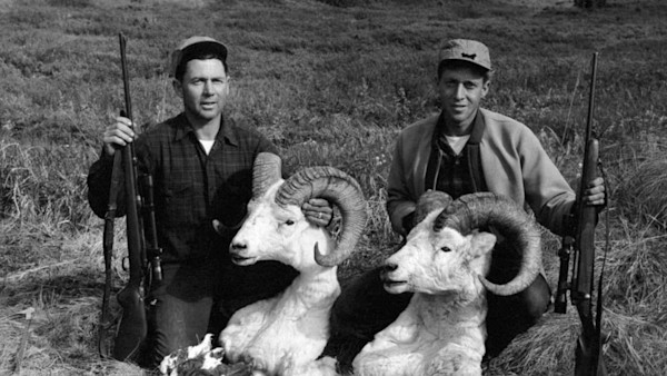 Two hunters kneeling with rifles beside two Dall sheep heads on a grassy hillside