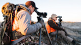 Two hunters in camouflage and orange vests using spotting scopes on tripods in open field