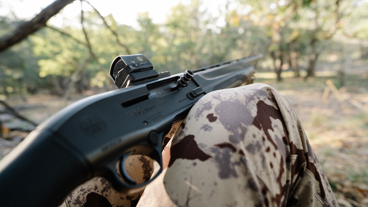 The Best Turkey Shotgun For Beginners