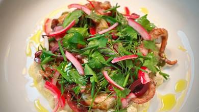 Grilled octopus with herbs, pickled red onions, olives and sauce on a white plate