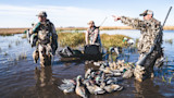 How and When to Hunt a Duck Roost