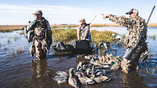 Three hunters wading in marsh with harvested ducks and dozens of floating decoys
