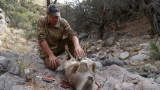 Field Tips for Gutting a Big Game Animal