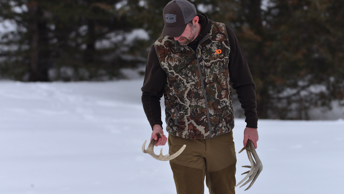 New Study Tells You How Far to Look for a Matched Set of Antlers