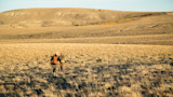 Two hunters wearing orange caps walking across golden grassland toward rolling hills, carrying rifles