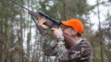 7 Hot Tips for Hunting Squirrels
