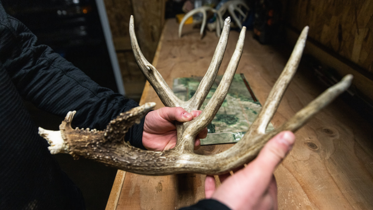 How to E-Scout for Shed Hunting