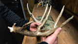 How to E-Scout for Shed Hunting