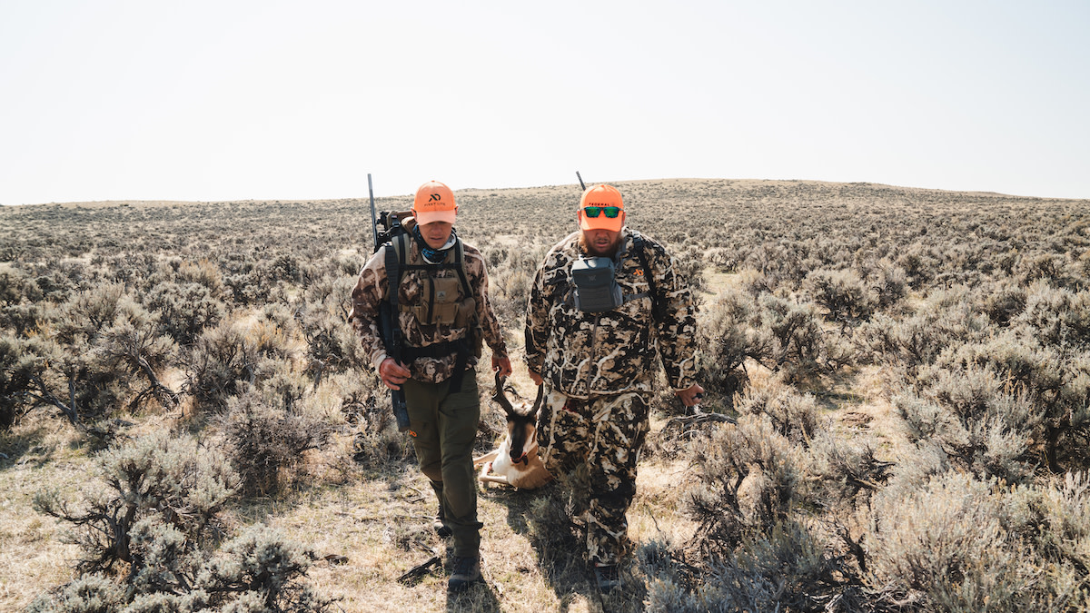 5 Best Antelope Cartridges