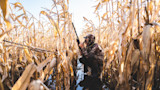 Hunter holding shotgun upright in flooded cornfield, crouched in camouflage