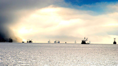 "Seaspiracy" encourages viewers to become vegan in order to save the oceans. We tend to disagree.