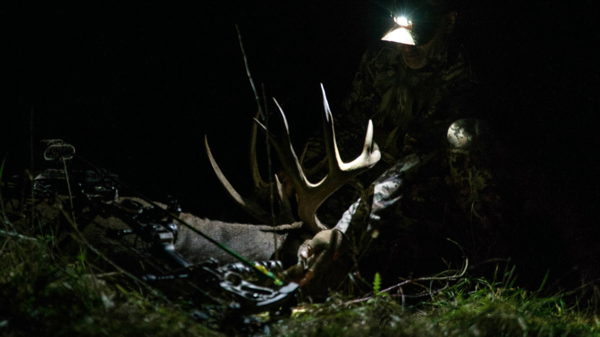 Archers Are Killing More Deer Than Ever Before