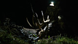 Hunter kneeling by a harvested buck with antlers and a compound bow at night, headlamp on