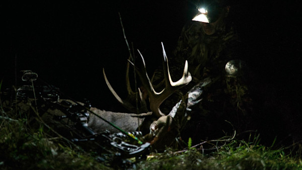 Archers Are Killing More Deer Than Ever Before