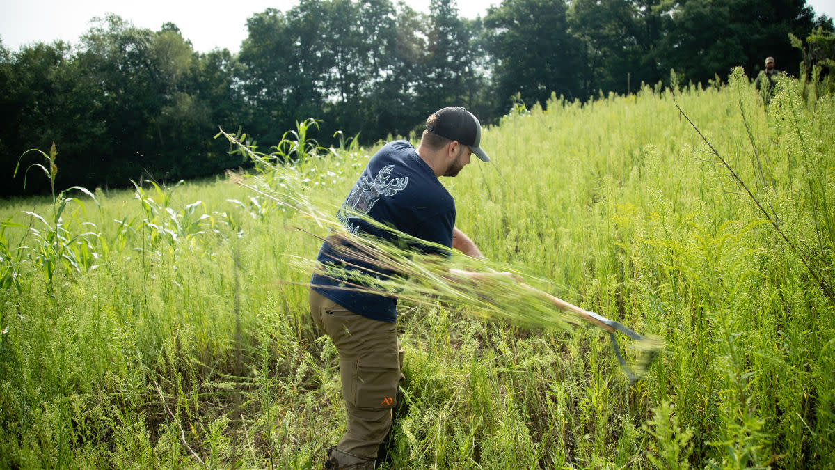 3 Easy Ways to Improve Any Whitetail Property