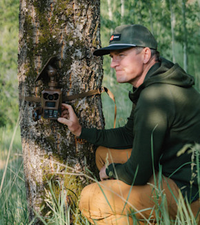 Man kneeling by a tree fastening a trail camera to the trunk