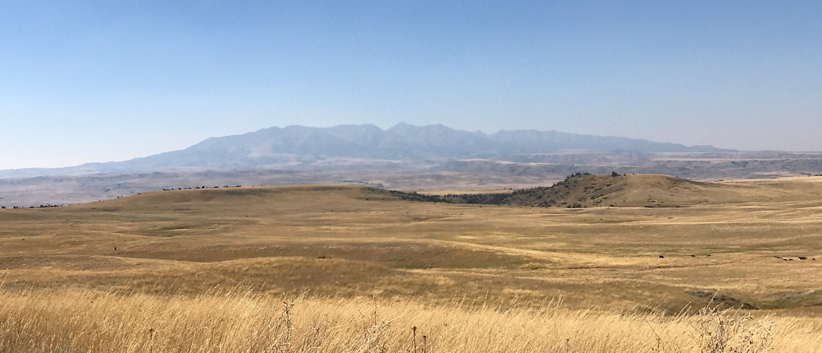 2017 Journal #1: My First 2017 Hunt & The Season Plan Moving Forward