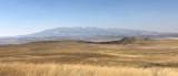 Rolling golden grass prairie with distant mountain range under a clear blue sky