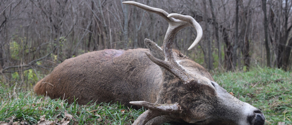 Friday Morning Mashup 11/3/17